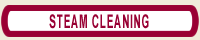 steam cleaning worldwide